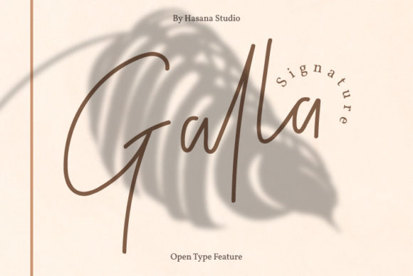 Galla Signature: A Delicate Script for Creative Projects