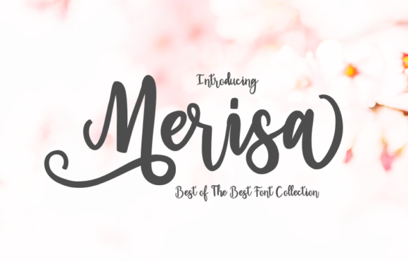 Merisa: A Script Font for Creative Makers