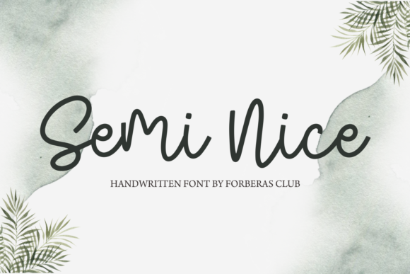 Semi Nice Font: Elegant Script for Web Design