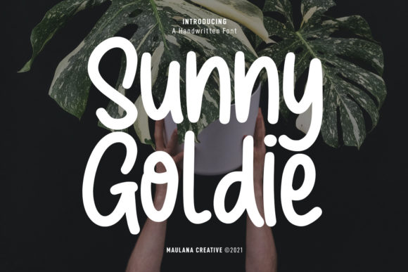 Sunny Goldie: A Bold, Playful Script