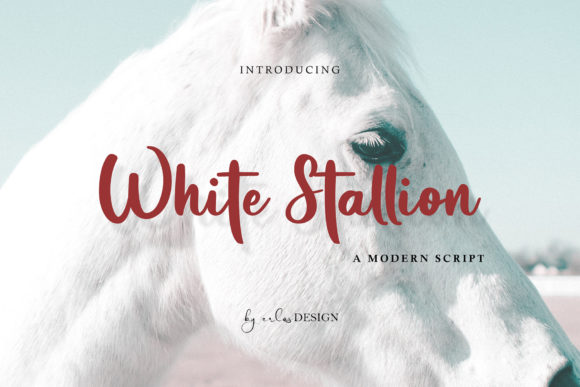 White Stallion Font: Elegant Script for Designers